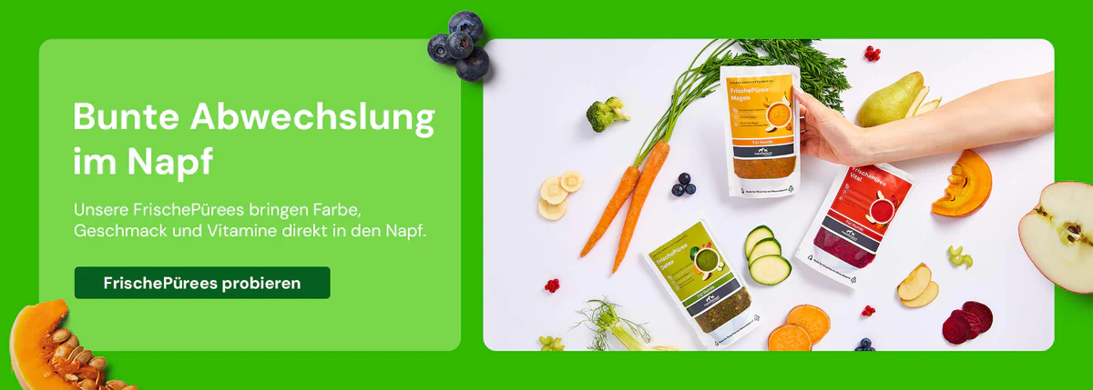 Stilvolle Mode für Ihren Alltag